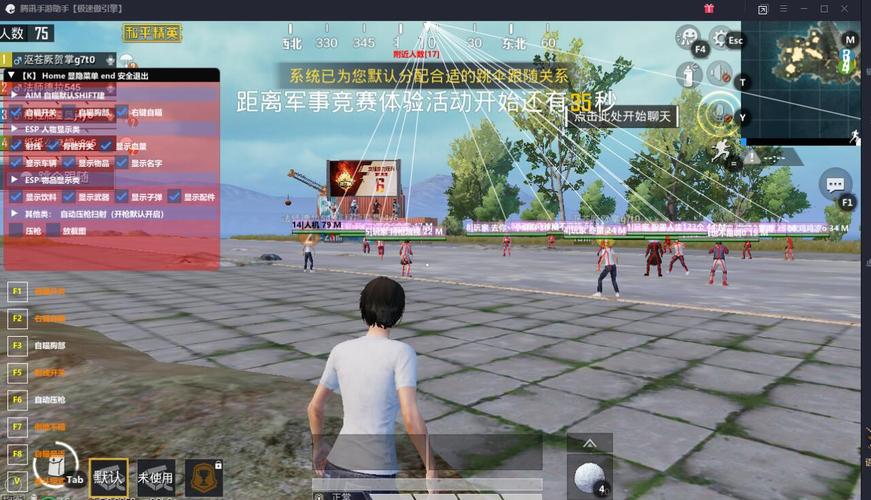 和平精英辅助【小飞侠】