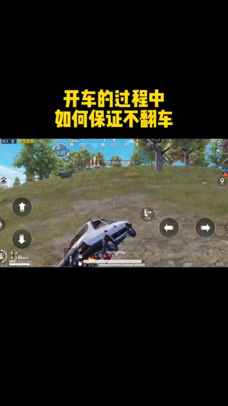 和平精英辅助【飞鸟】